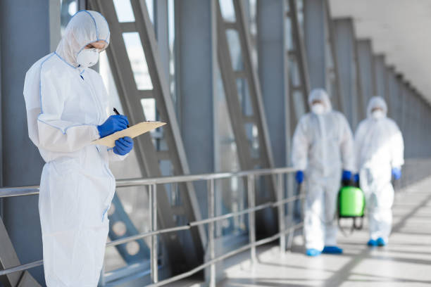 Best Environmental Consulting for Mold Prevention  in Nitro, WV
