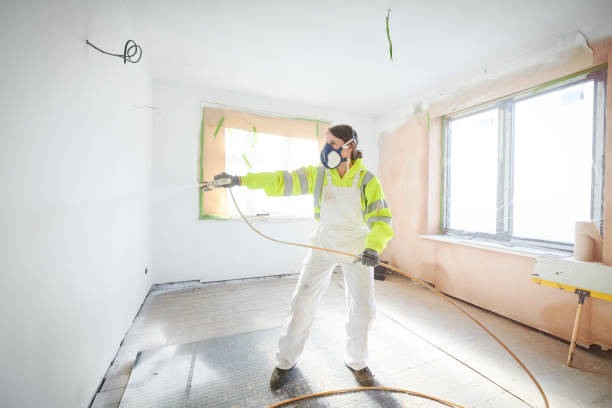 Mold Odor Removal Services in Nitro, WV