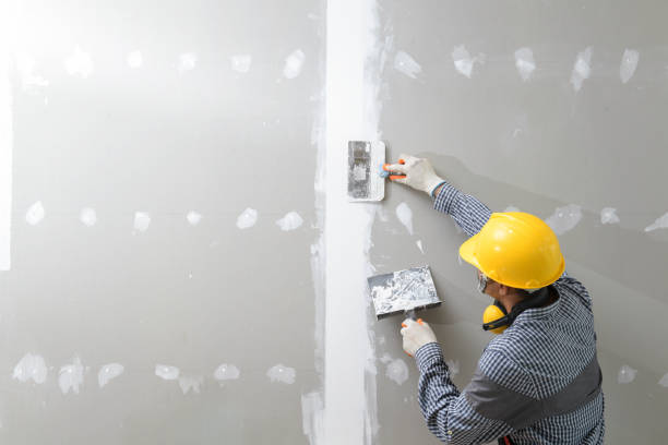 Best Comprehensive Air Testing for Mold Contaminants  in Nitro, WV