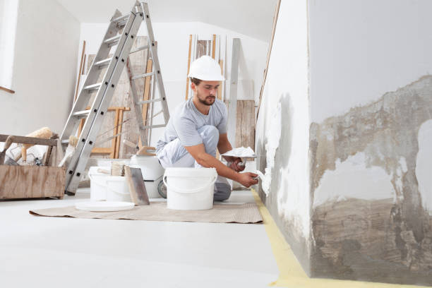 Best Water Damage & Mold Remediation  in Nitro, WV