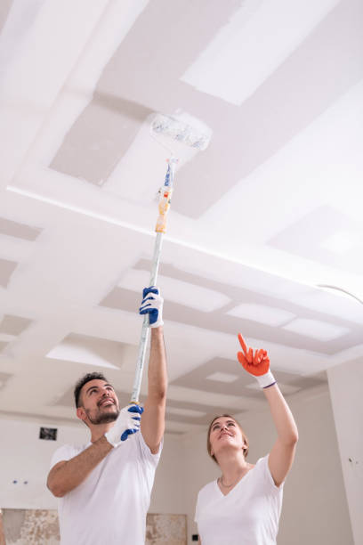Best Emergency Mold Remediation  in Nitro, WV