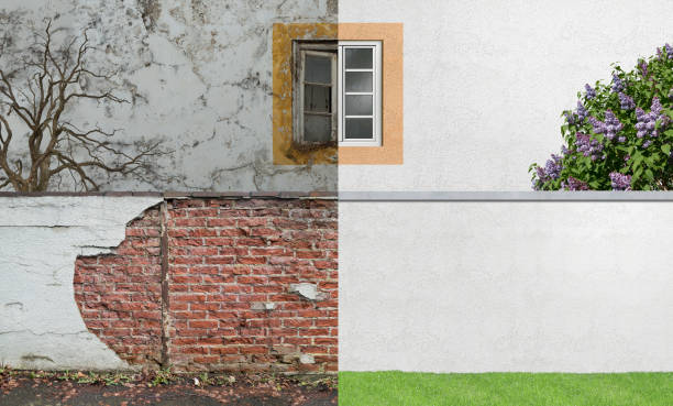 Best Real Estate Mold Inspection  in Nitro, WV