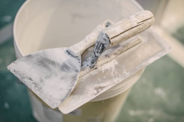 Best Mold Remediation for Rental Properties  in Nitro, WV